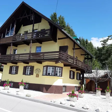 Apartment Haus Geiger *