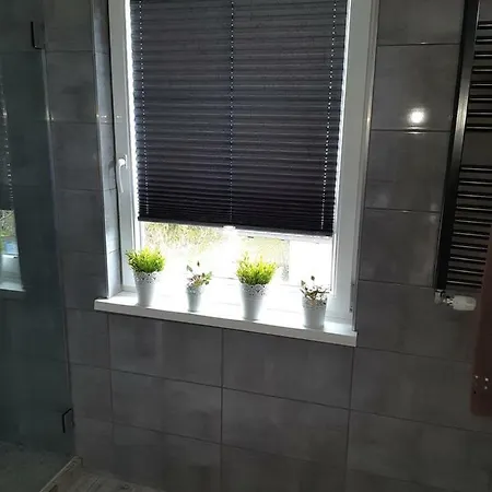 Apartment Haus Geiger *