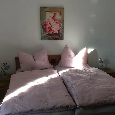 Apartment Haus Geiger *