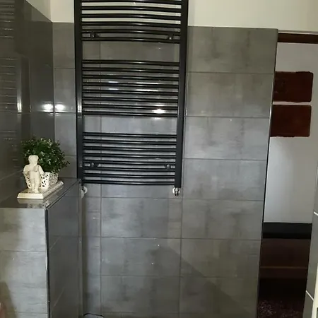 Apartment Haus Geiger *